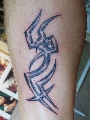 tribal, symboly, písmo, znamení