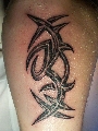 tribal, symboly, písmo, znamení