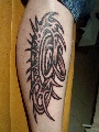 tribal, symboly, písmo, znamení