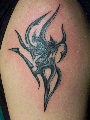tribal, symboly, písmo, znamení